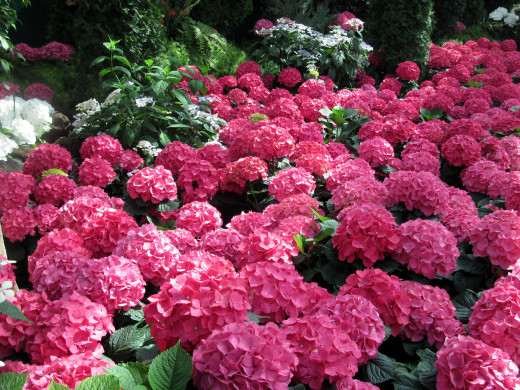 1075422 (a): :2560x1920